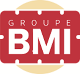 logo_BMI