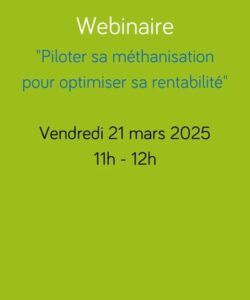 Image à la une double site wordpress 400 x 480 px
