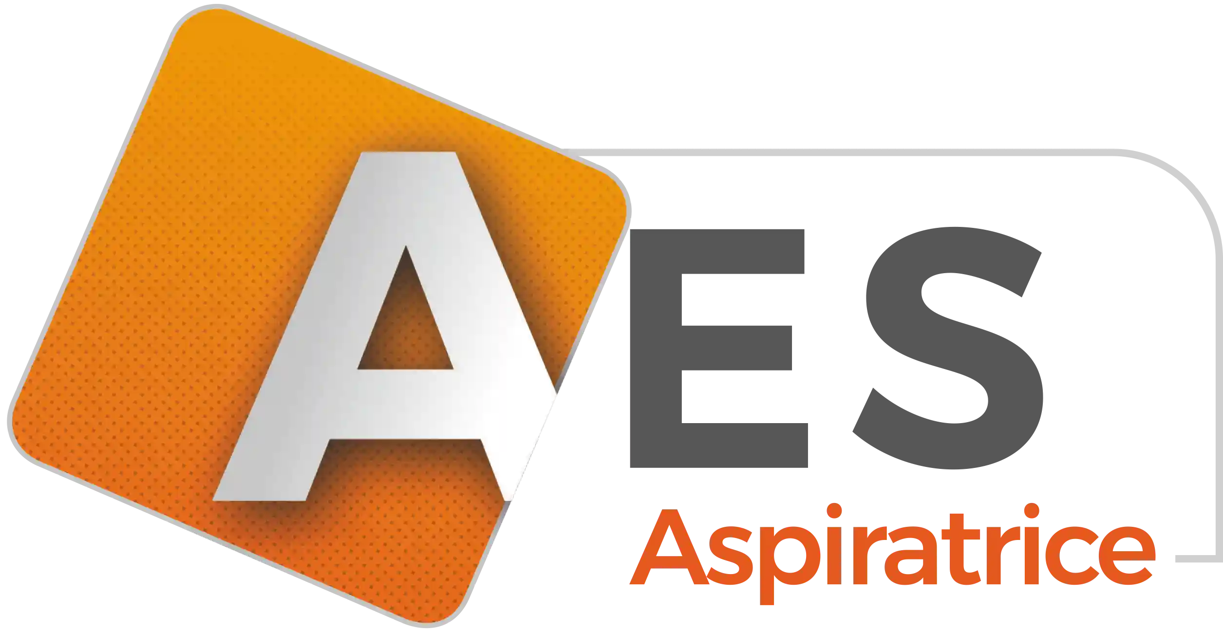 Logo AES_quadri_HD copie