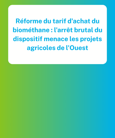 Image à la une double site wordpress 400 x 480 px Communiqué de presse